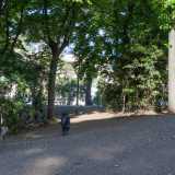 Ci sono due diverse aree sgambettamento e quella dedicata agli animali pi� grandi si estende su una sorta di collinetta con un passaggio circondato da alberi che creano molta ombra